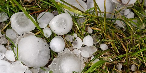 What to do with damage caused by hail