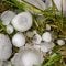 What to do with damage caused by hail