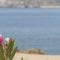 Motorhome rules in Spain: what do I need to bear in mind?