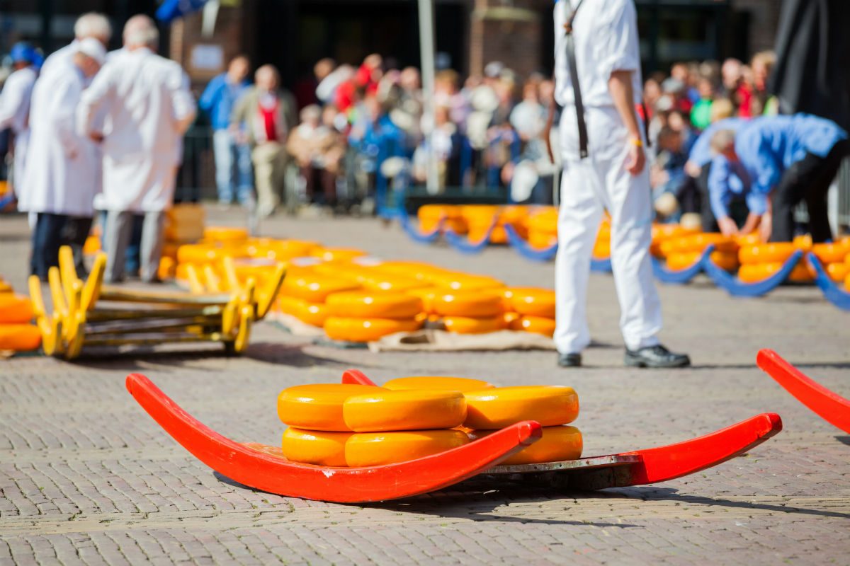 Kaasmarkt Alkmaar