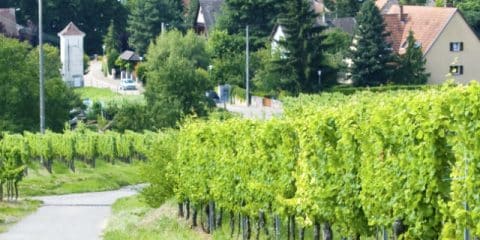 Where to go for a cosy campsite in France or Spain