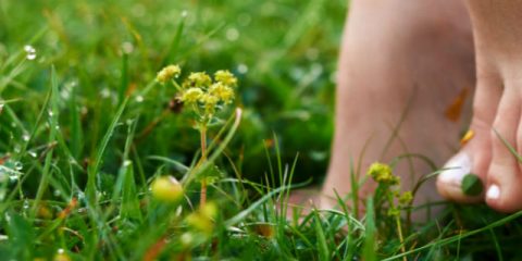 The 5 best barefoot paths in the Netherlands