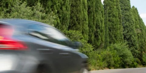 Important: maximum speed in France has been reduced