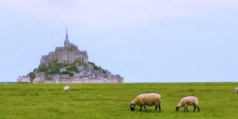 A jewel in the north of France: Le Mont-Saint-Michel