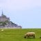A jewel in the north of France: Le Mont-Saint-Michel