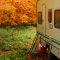 Avoid unpleasant surprises in the spring: use a cover!
