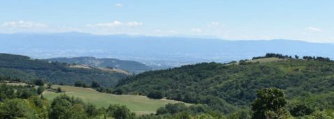 Greetings from Esther: ‘Valence is like a second home’