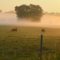 From cuddling a cow to sipping a great wine: farm campsites!