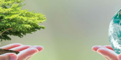 Green holidays – five tips for sustainable camping