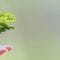 Green holidays – five tips for sustainable camping