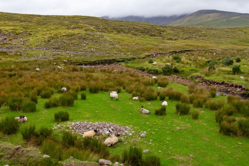 In England, the Voies Vertes, or Greenways, will take you through lovely, typical British landscapes.