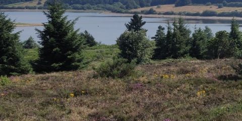 Enjoying the peaceful nature in the Haut-Languedoc