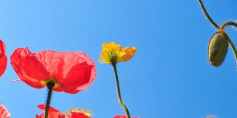 Camping in spring – but where?