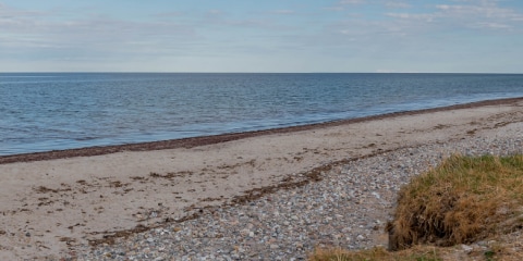 Go on an online holiday with Europe’s best nature webcams