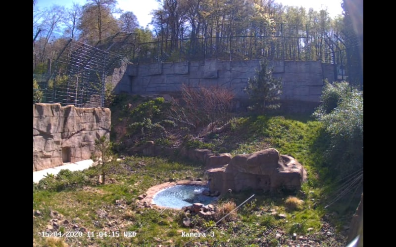 The residence of the snow leopards of the Neunkirch Zoo. 