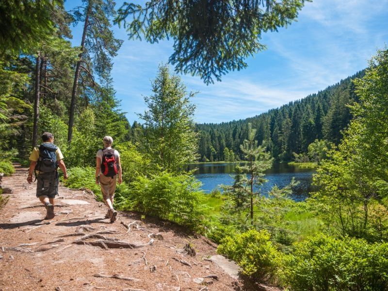 Hikers are right at home in the Black Forest. You will find idyllic hiking trails throughout the forests.