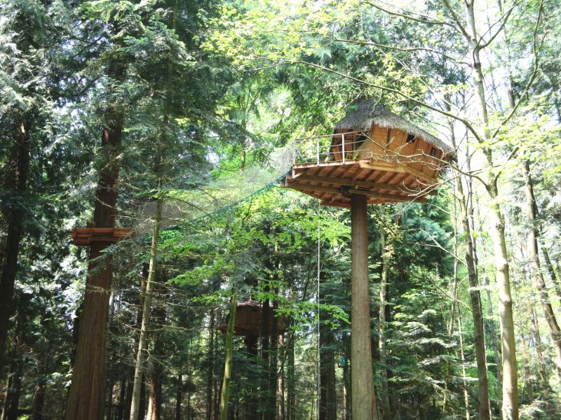 Treehouse Campsite Les Ormes