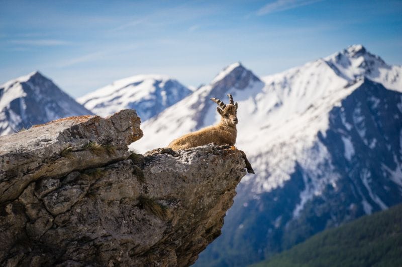 Écrins National Park.