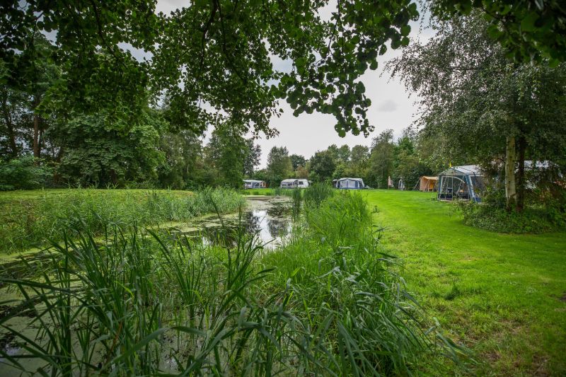 Privacy at small camping pitches