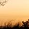 A journey through camping history: Ardoer Camping De Noetselerberg