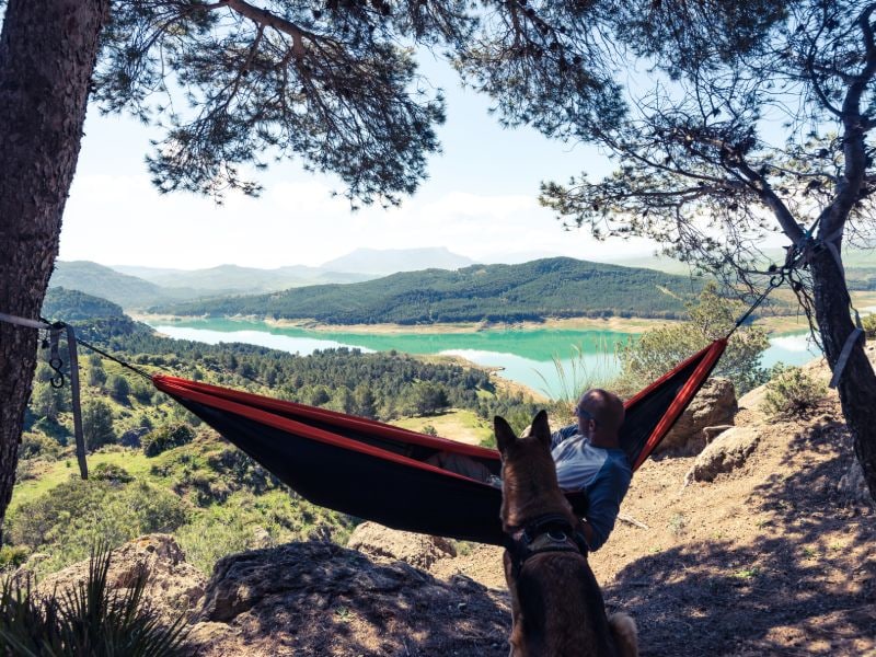 Camping with dog