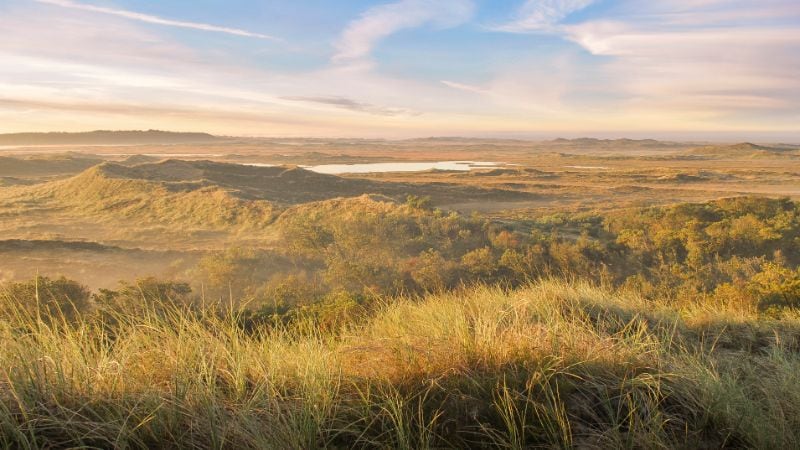 National Park Thy Denmark