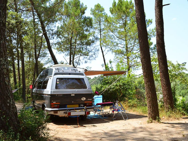 Bus camper at camping spot among trees.